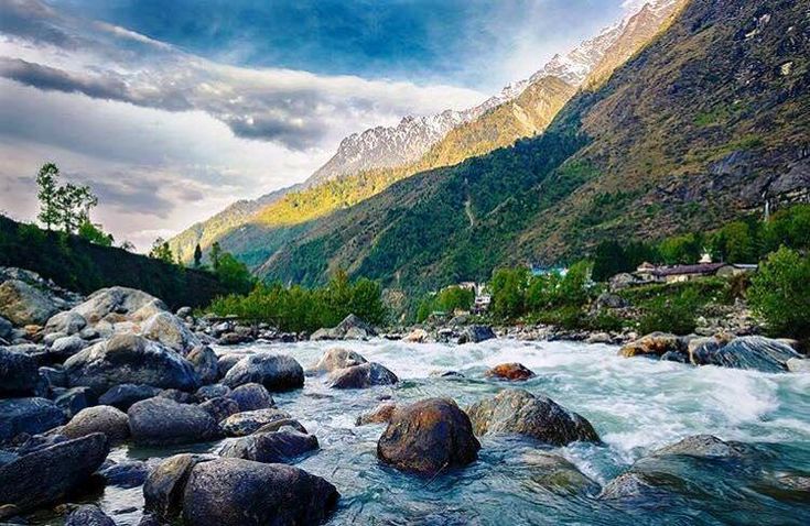 yumthang valley everything you need to know for this magical experience!